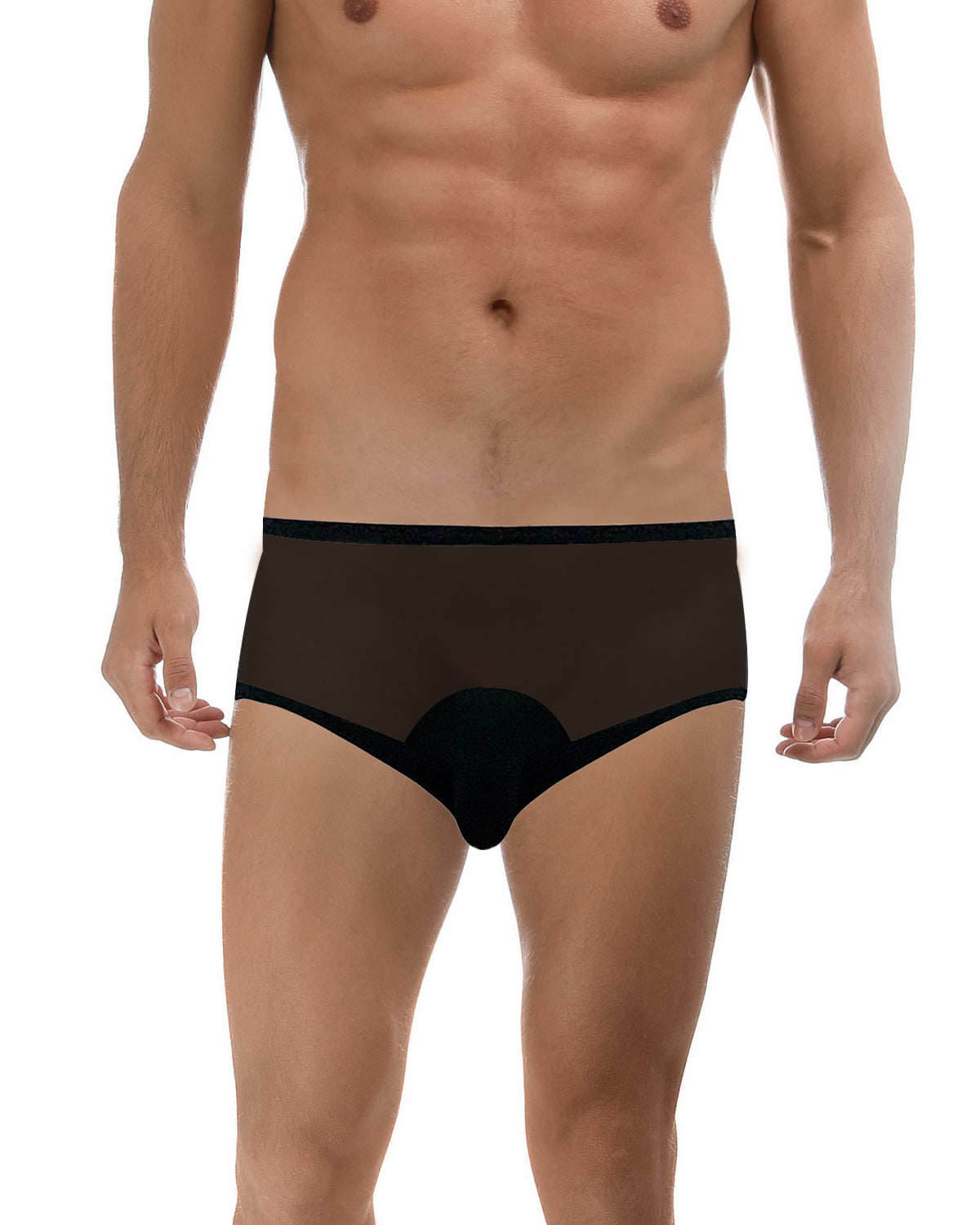 Bikini-Cut Briefs with Pouch, Translucent