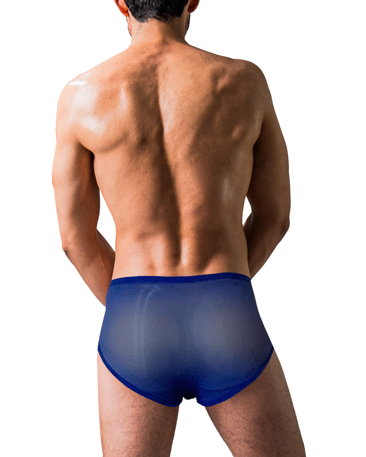 Bikini-Cut Briefs with Pouch, Translucent