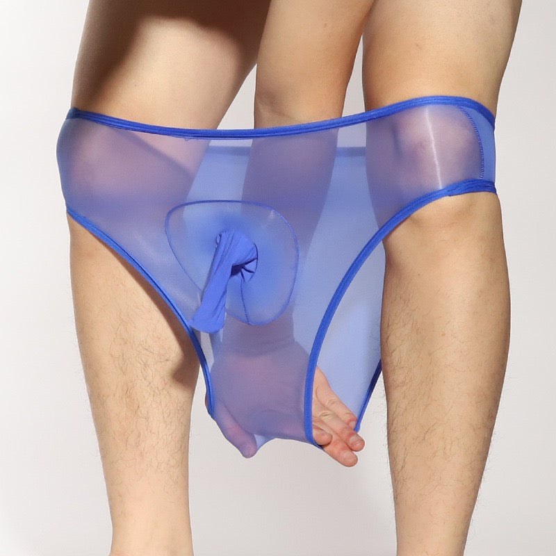 Bikini-Cut Briefs with Crotch Sheath, Translucent